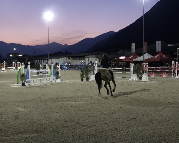 Reitturnier Giubiasco 2023
