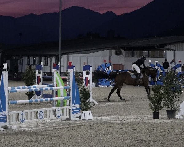 Reitturnier Giubiasco 2023