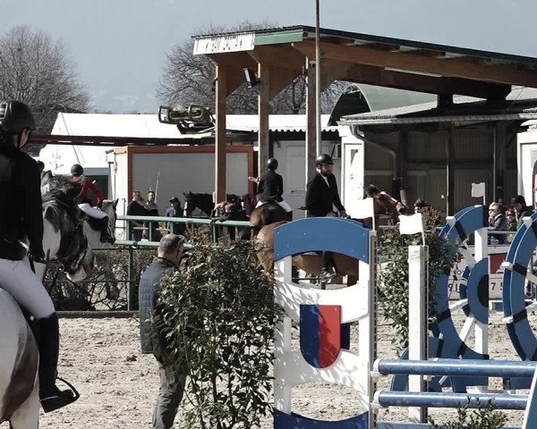 Reitturnier Giubiasco 2023
