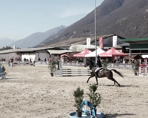 Reitturnier Giubiasco 2023