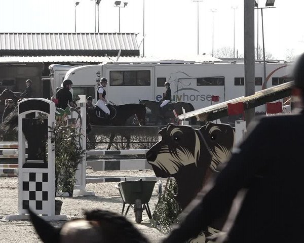 Reitturnier Giubiasco 2023