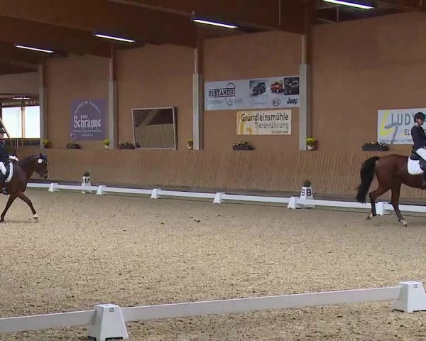 Reitturnier Grafenrheinfeld/Ufr. 2021
