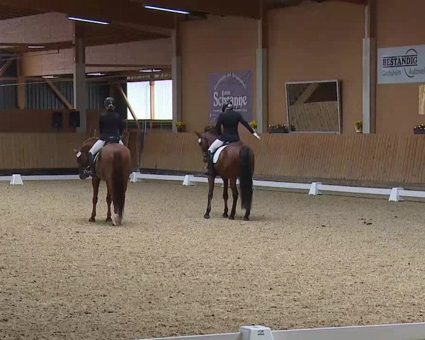 Reitturnier Grafenrheinfeld/Ufr. 2021