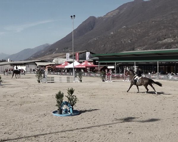 Reitturnier Giubiasco 2023