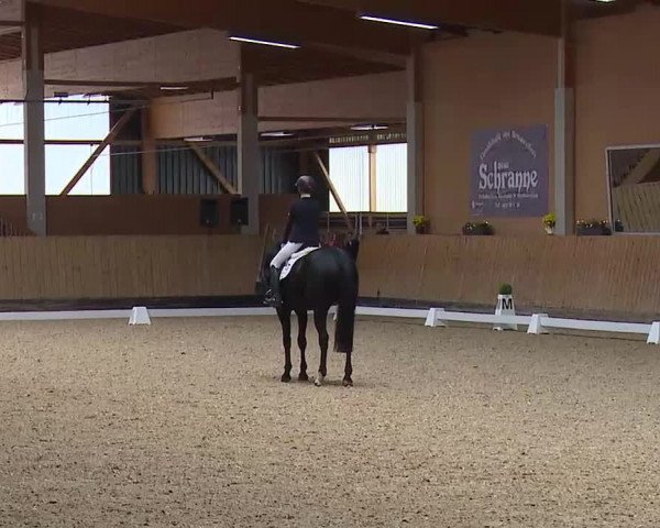 Reitturnier Grafenrheinfeld/Ufr. 2021