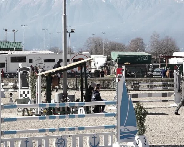 Reitturnier Giubiasco 2023