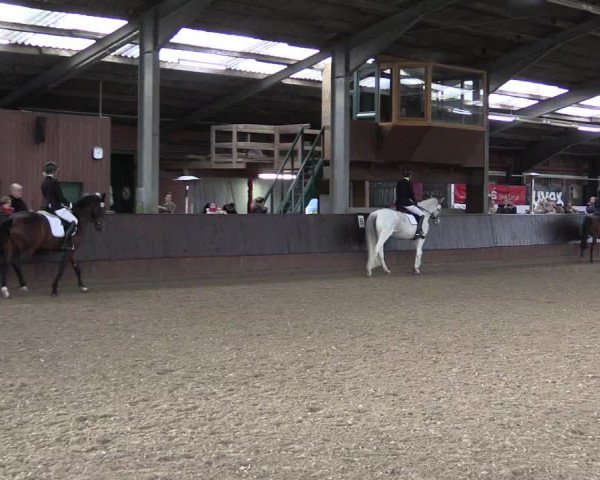 Reitturnier Greven 2023