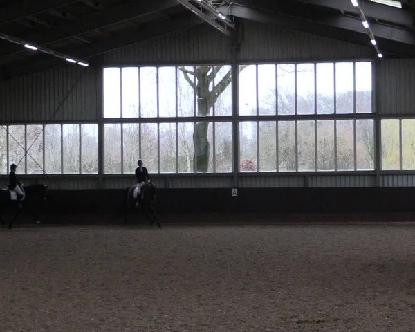 Reitturnier Greven 2023