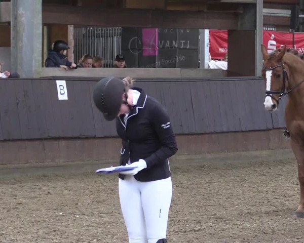 Reitturnier Greven 2023
