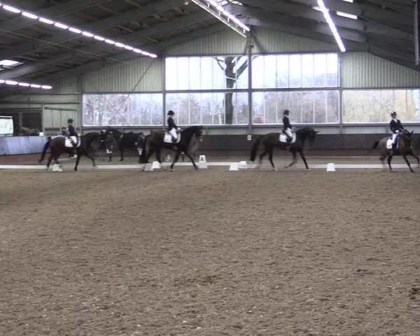 Reitturnier Greven 2023