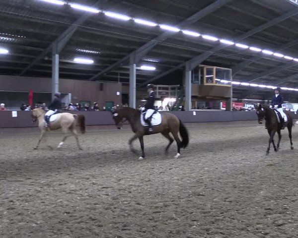 Reitturnier Greven 2023