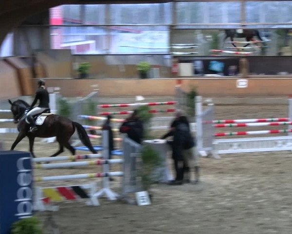 Reitturnier Ratingen 2023