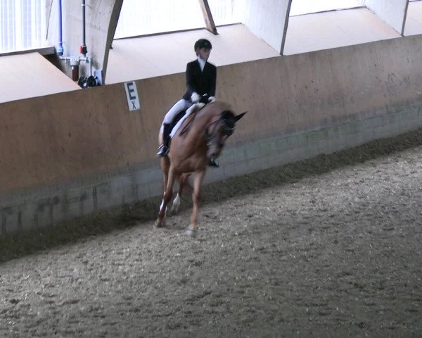 Reitturnier Ratingen 2023