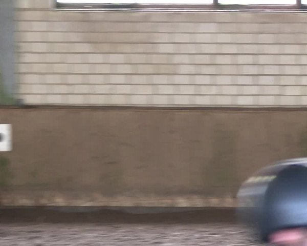 Reitturnier Hildesheim-Marienburg 2023