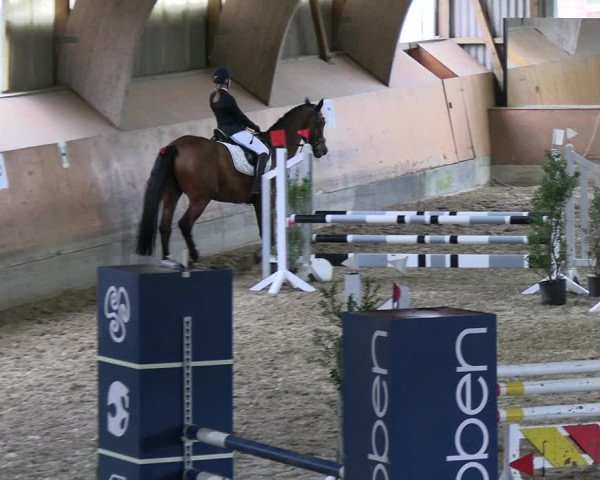 Reitturnier Ratingen 2023