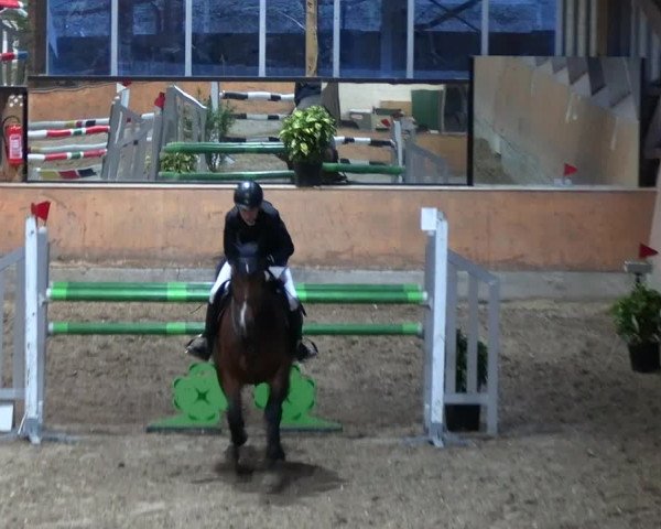 Reitturnier Ratingen 2023