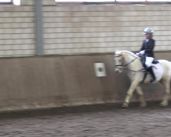 Reitturnier Hildesheim-Marienburg 2023