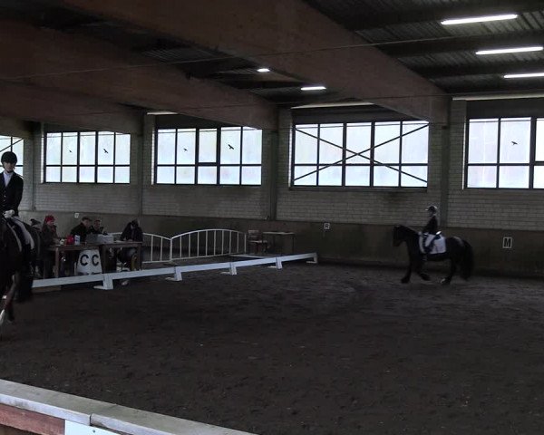 Reitturnier Hildesheim-Marienburg 2023