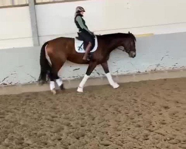 Video of Deja Beau