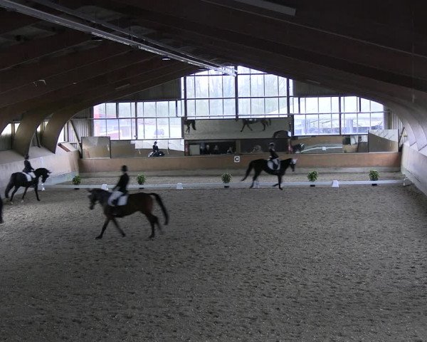 Reitturnier Ratingen 2023