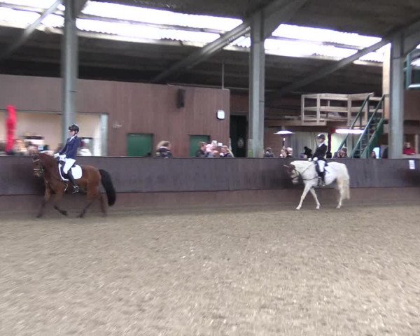 Reitturnier Greven 2023