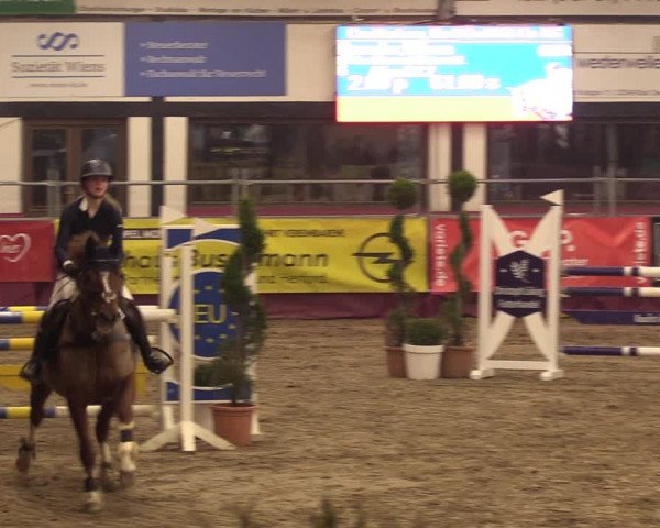 Reitturnier Vlotho-Exter 2023