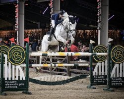 jumper Fifty Cambell S (KWPN (Royal Dutch Sporthorse), 2010, from Campbell VDL)