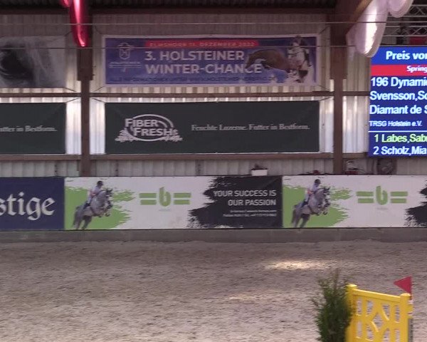 10. Nordic Jumping event Negernbötel 2023