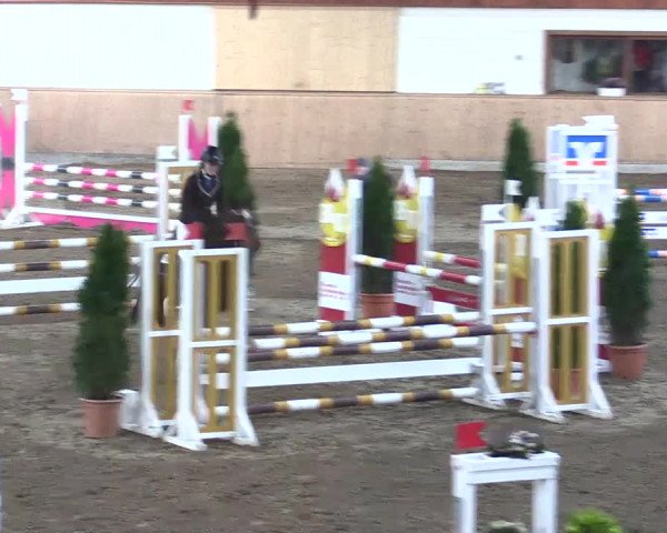 Reitturnier Hövelhof 2021