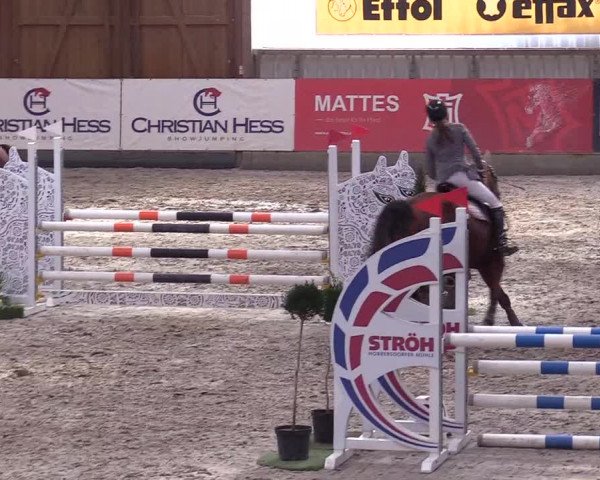 10. Nordic Jumping event Negernbötel 2023