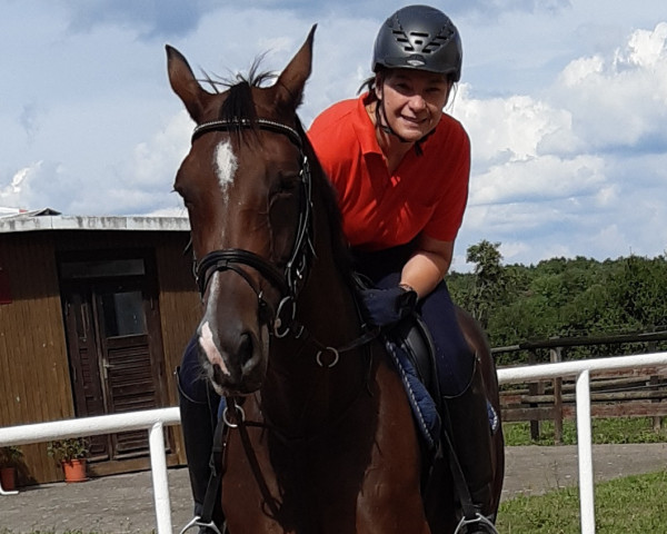 horse Chica Royal (Hanoverian, 2011, from Contendros Bube)