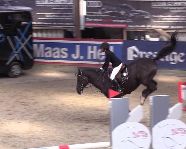 10. Nordic Jumping event Negernbötel 2023