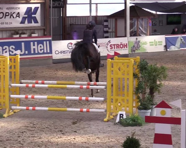 10. Nordic Jumping event Negernbötel 2023