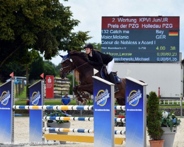 dressage horse Catch me 58 (Bavarian, 2011, from Coeur de Nobless M)