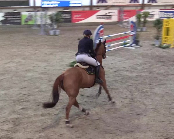 10. Nordic Jumping event Negernbötel 2023