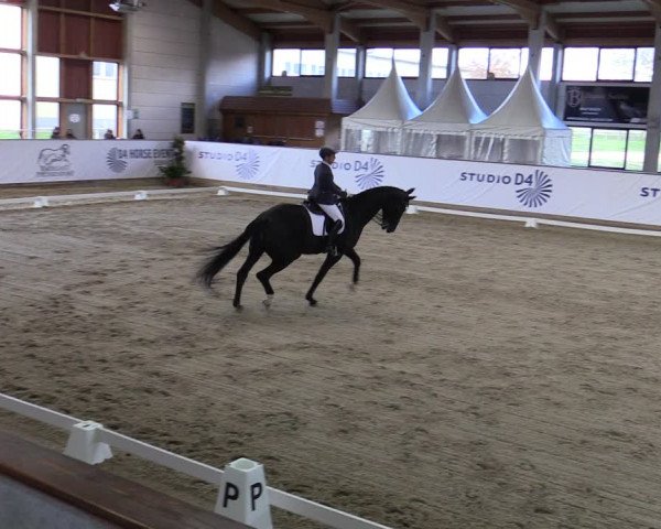 Reitturnier Prussendorf 2021