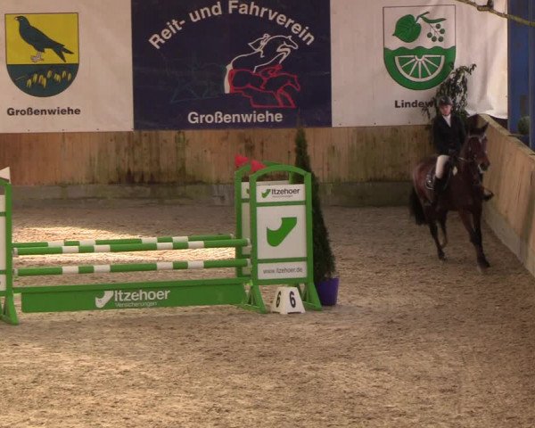 Reitturnier Großenwiehe 2023