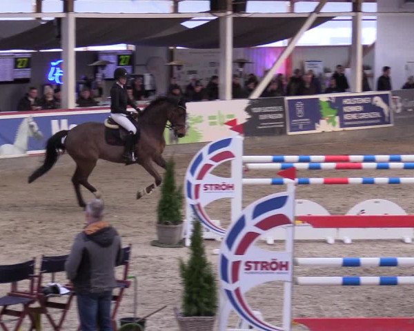 10. Nordic Jumping event Negernbötel 2023