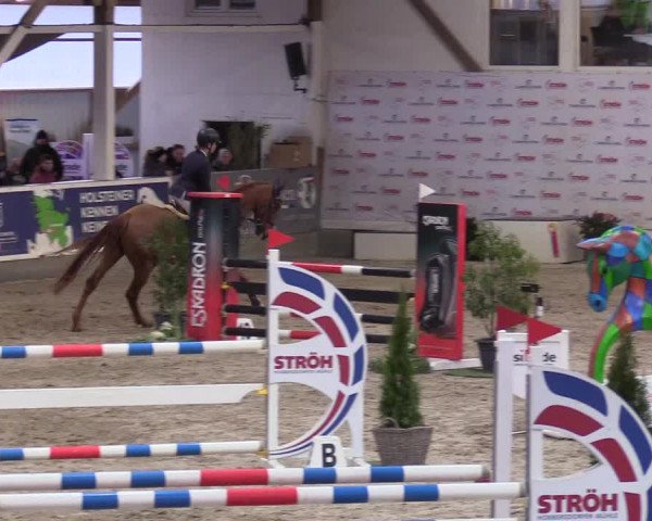 10. Nordic Jumping event Negernbötel 2023