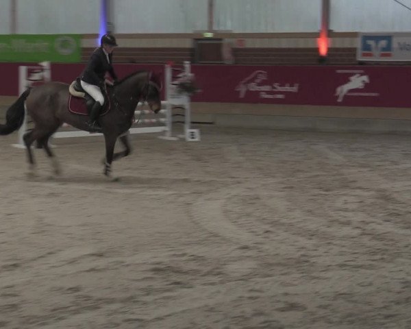 Reitturnier Kaldenkirchen - Gestüt Seehof 2023