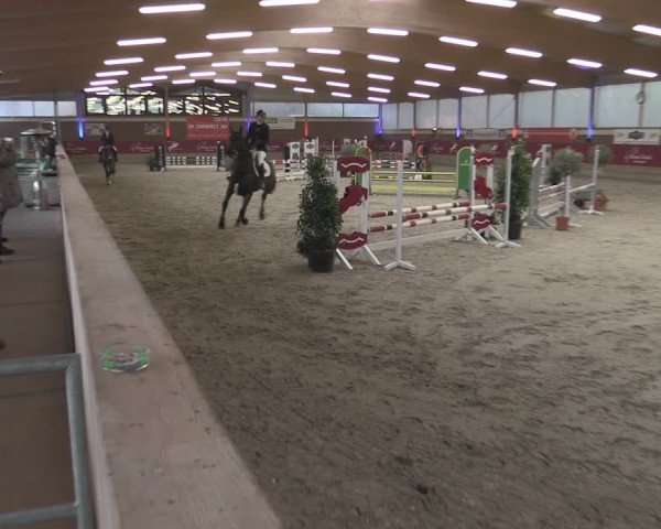 Reitturnier Kaldenkirchen - Gestüt Seehof 2023