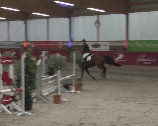 Reitturnier Kaldenkirchen - Gestüt Seehof 2023