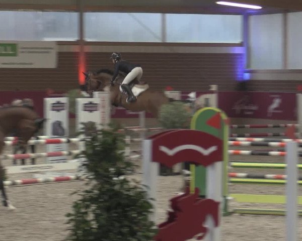 Reitturnier Kaldenkirchen - Gestüt Seehof 2023