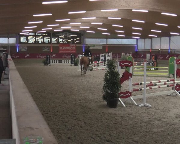 Reitturnier Kaldenkirchen - Gestüt Seehof 2023