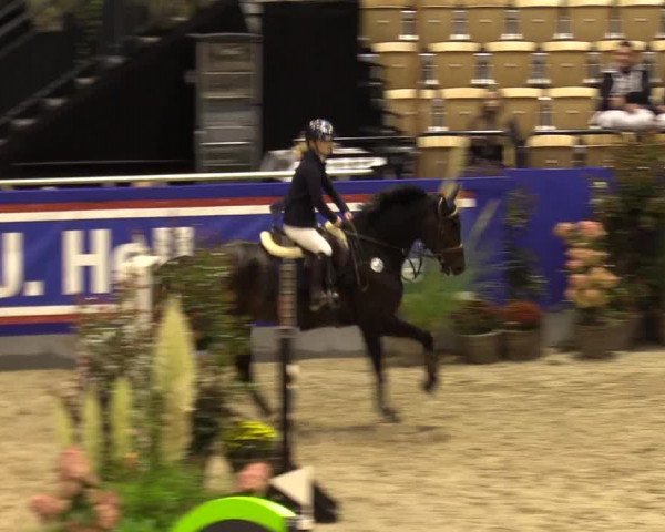 FEI Reitturnier Neumünster (GER) 2021