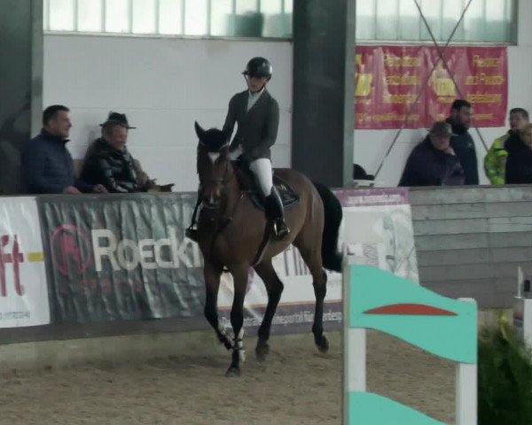 Reitturnier Karlsfeld/Obb. 2023