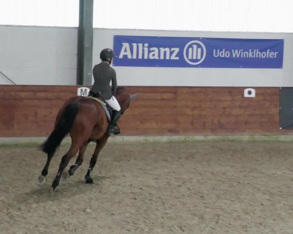 Reitturnier Karlsfeld/Obb. 2023