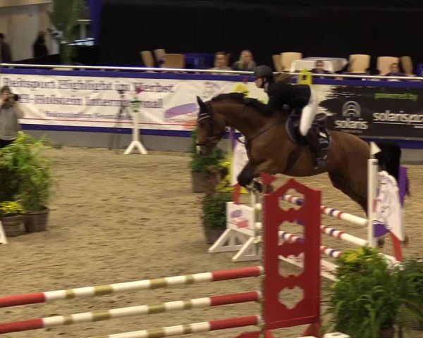 FEI Reitturnier Neumünster (GER) 2021