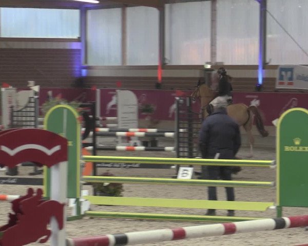 Reitturnier Kaldenkirchen - Gestüt Seehof 2023