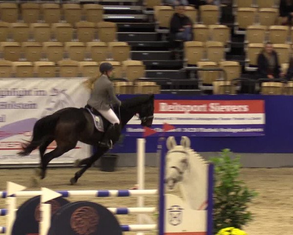 FEI Reitturnier Neumünster (GER) 2021
